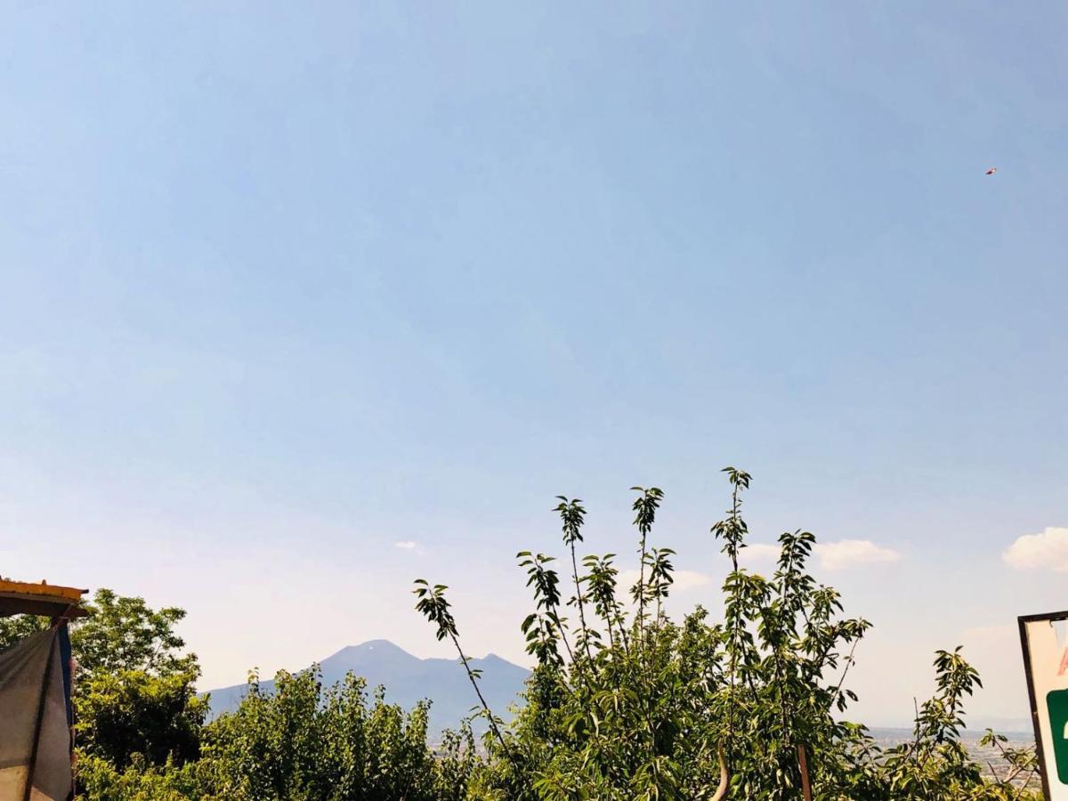 Agriturismo A Do' Cumparone Corbara  Экстерьер фото